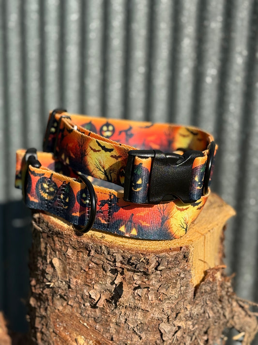 Halloween Collection